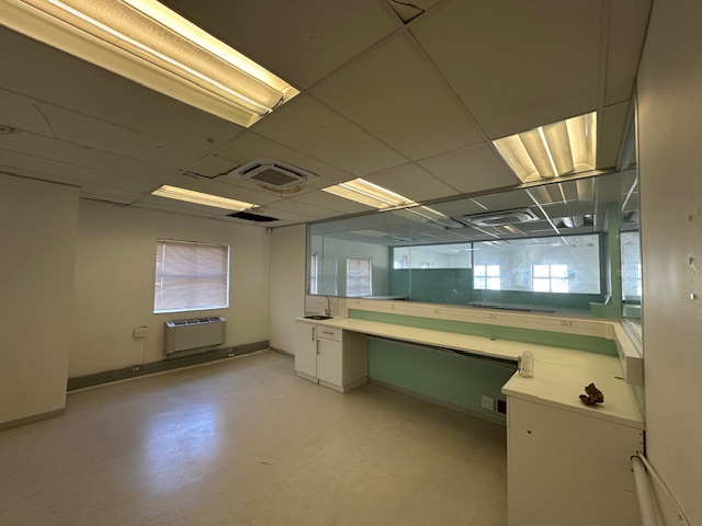 To Let commercial Property for Rent in Pinelands Western Cape